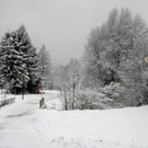 Schneefotos, Teil 1