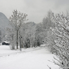 005_bearbeitet-1_jpg-1291137567