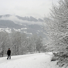 010_bearbeitet-1_jpg-1291137612