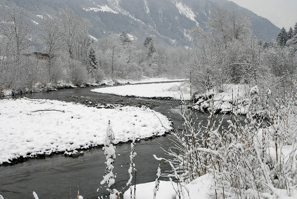 100_bearbeitet-1_jpg-1291139291