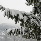 105_bearbeitet-1_jpg-1291139351