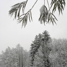 144_bearbeitet-1_jpg-1291139942