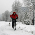 163_bearbeitet-1_jpg-1291140363