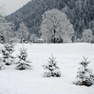 275_bearbeitet-1_jpg-1291141123