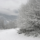 003_bearbeitet-1_jpg-1291183848