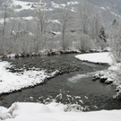 103_bearbeitet-1_jpg-1291184657