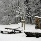 142_bearbeitet-1_jpg-1291185142