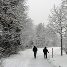 148_bearbeitet-1_jpg-1291185229