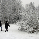 151_bearbeitet-1_jpg-1291185281