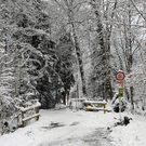 234_bearbeitet-1_jpg-1291185908