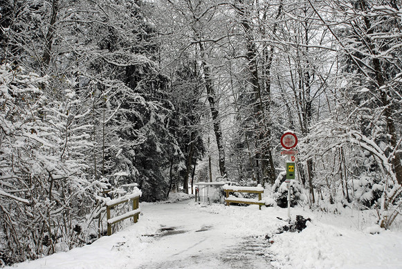 234_bearbeitet-1_jpg-1291185908