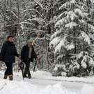 241_bearbeitet-1_jpg-1291186008