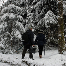 258_bearbeitet-1_jpg-1291186222