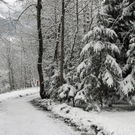 267_bearbeitet-1_jpg-1291186295