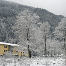 269_bearbeitet-1_jpg-1291186342