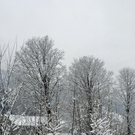 270_bearbeitet-1_jpg-1291186446
