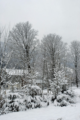 270_bearbeitet-1_jpg-1291186446