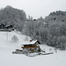 283_bearbeitet-1_jpg-1291187289