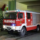 normal_01122010saegewerksaaktivnews005.jpg