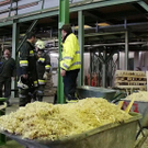 normal_01122010saegewerksaaktivnews008.jpg