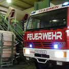 normal_01122010saegewerksaaktivnews010.jpg