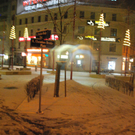 DSC_0600.jpg