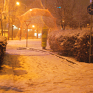 DSC_0603.jpg