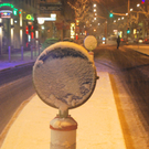 DSC_0625.jpg
