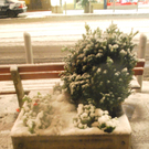 DSC_0631.jpg