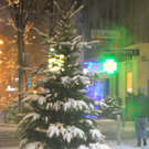 DSC_0644.jpg