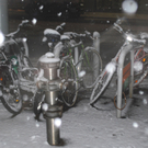 DSC_0648.jpg