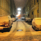 DSC_0654.jpg