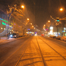 DSC_0659.jpg