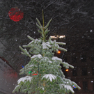 DSC_0697.jpg