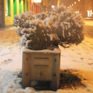 DSC_0713.jpg