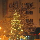 DSC_0715.jpg