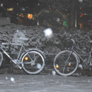 DSC_0723.jpg