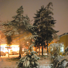 DSC_0752.jpg