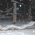 DSC_0762.jpg