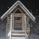 DSC_0766.jpg