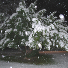 DSC_0773.jpg