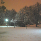 DSC_0775.jpg
