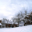 DSC09428.JPG