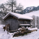 DSC09431.JPG