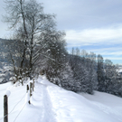 DSC09437.JPG