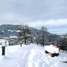 DSC09438.JPG