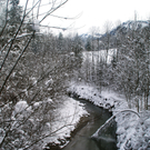 DSC09453.JPG