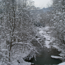 DSC09454.JPG