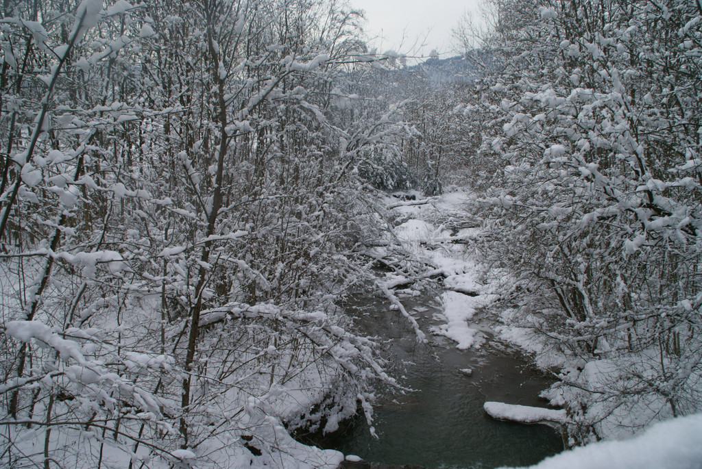 DSC09454.JPG