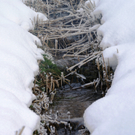 DSC09455.JPG